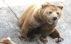 溫州動物園旅遊攻略之熊山