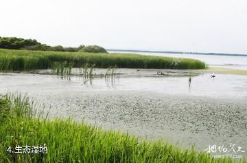 鸡西八五六青山湖旅游度假区-生态湿地照片