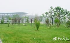 天津师范大学校园概况之绿树