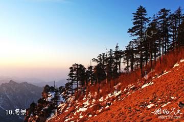 陕西长青国家级自然保护区-冬景照片