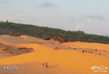 越南美奈-红沙丘照片