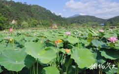 南平顺昌洋口红色旅游小镇旅游攻略之红军湖