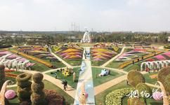上海浦江郊野公园旅游攻略之奇迹花园区