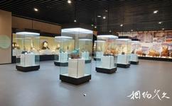 淄博傅山自然地质博物馆旅游攻略之地球瑰宝
