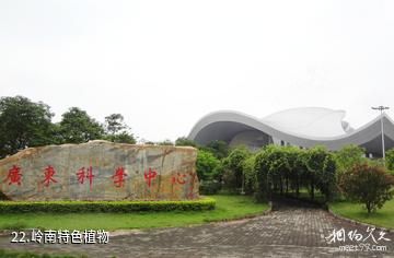 广州广东科学中心-岭南特色植物照片
