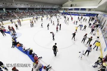 中國台北小巨蛋體育館-溜冰場照片