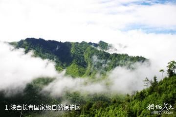 陕西长青国家级自然保护区照片