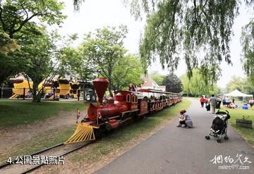 多倫多湖心島-公園照片