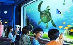 东京迪士尼海洋旅游攻略之龟龟漫谈