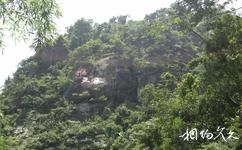 湖南郴州莽山国家森林公园旅游攻略之猴王寨