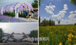 中衛騰格里沙漠濕地·金沙島旅遊區驢友相冊