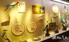 黃河口生態旅遊攻略之鳥類博物館