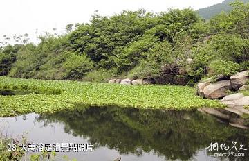 安徽禾泉農莊-大禹浴足池照片