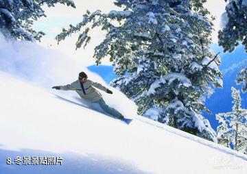 吉林龍山湖景區-冬景照片