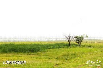 桐城嬉子湖生態旅遊區-濕地照片