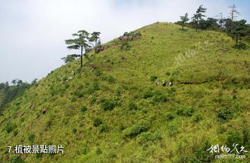 永州姑婆山風景區-植被照片