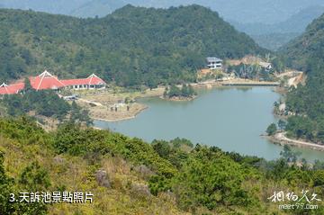 龍岩梅花山中國虎園-天訴池照片