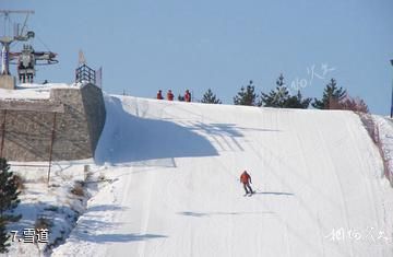 龙井马蹄山旅游度假区-雪道照片