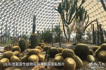 江蘇大陽山國家森林公園-科普觀賞性植物區與專類園照片