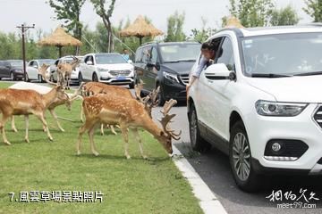 南通森林野生動物園-風雲草場照片