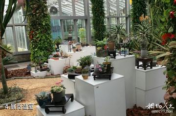 上海植物园-展览温室照片