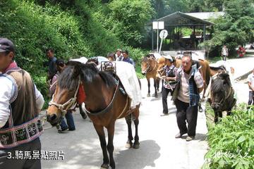 六盤水玉舍國家森林公園-騎馬照片