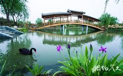 临沂兰陵国家农业公园旅游攻略之湿地公园