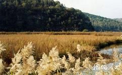 延安子午嶺國家級自然保護區旅遊攻略之清水河濕地