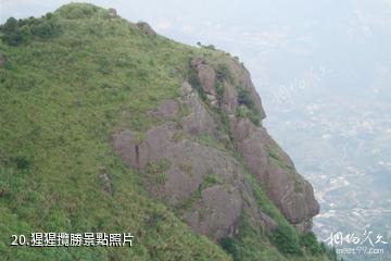 泉州紫雲山風景區-猩猩攬勝照片