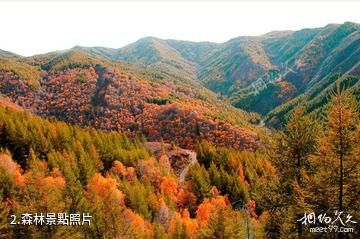 烏蘭察布蘇木山旅遊區-森林照片