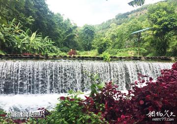 騰衝荷花壩派景區-壩派照片