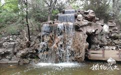 寧夏銀川中山公園旅遊攻略之噴泉
