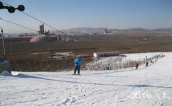 唐山燕东生态观光园旅游攻略之燕东滑雪场