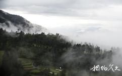 马来西亚云顶高原旅游攻略之云海