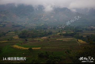 雲南哀牢山國家級自然保護區-梯田照片