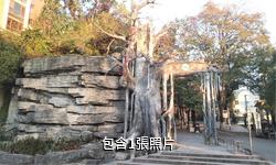 懷化鍾坡風景區驢友相冊