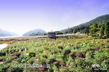 广州从化石门国家森林公园照片