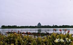蘇州金雞湖旅遊攻略之桃花島