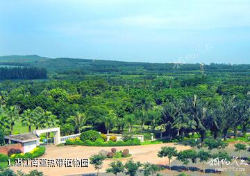 湛江南亚热带植物园照片