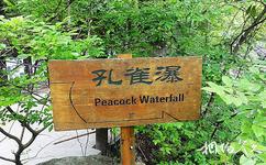 瑞安花岩国家森林公园旅游攻略之孔雀瀑