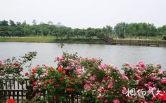蘇州相城盛澤湖月季園旅遊攻略之盛澤湖