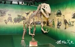 珠海市博物馆旅游攻略之恐龙时代展