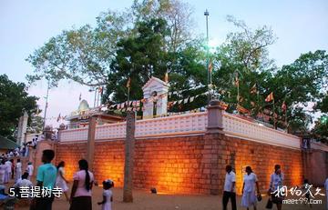 斯里兰卡阿努拉德普勒市-菩提树寺照片