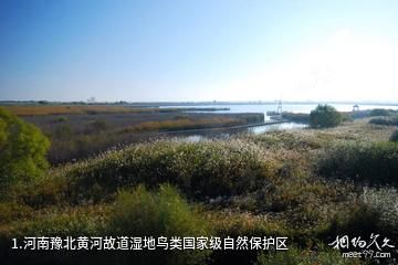 河南豫北黄河故道湿地鸟类国家级自然保护区照片