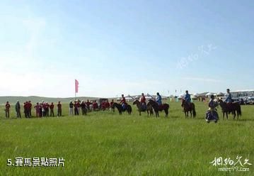 興安蒙古包旅遊村-賽馬照片