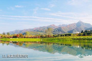 西安周至秦嶺國家植物園-楓葉湖照片