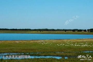 大庆连环湖狩猎场照片