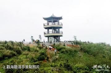 欽州那霧山森林公園-觀海聽濤亭照片