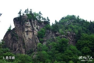 黑龙江桃山桃源湖旅游区-悬羊峰照片