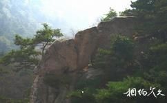 泰安徂徕山国家森林公园旅游攻略之龙头峰